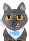 Whimsical Crazy For Cats Feline Kitty Grey Cat Eat Door Or Wall Hanging Sign