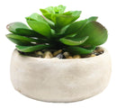 Set of 4 Realistic Artificial Botanica Plants Succulents in Cement Pot 7"Dia