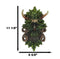 Nature Spirit God Celtic Greenman Tree Ent Canopy Hanging Wall Decor Plaque