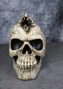 Tribal Tattoo Serpent Skull Statue Battle Chieftain Figurine Amazing Detail