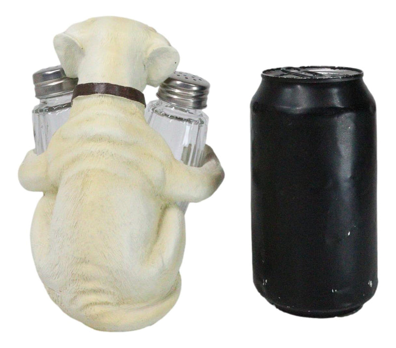 Pup And Spice Wide Eyed Cute Labrador Puppy Dog Glass Salt & Pepper Shakers Set