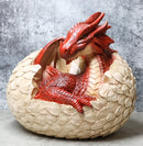 Ebros Large Smaug Red Baby Dragon Hatchling in Egg Statue 9.5" Long Dungeons Dragons Legends Fantasy Home and Garden Accent Decor Sculpture Medieval Renaissance Figurine Centerpiece