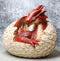 Ebros Large Smaug Red Baby Dragon Hatchling in Egg Statue 9.5" Long Dungeons Dragons Legends Fantasy Home and Garden Accent Decor Sculpture Medieval Renaissance Figurine Centerpiece