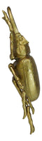 Medium Gold Resin Great Stag Horned Beetle Wall Decor Or Tabletop Figurine