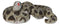 Realistic Ferocious Coiled Boa Snake Hand Painted Taxidermy Statue 17"L