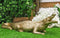 Large 2 Feet Gold Patina Crocodile Baring Jaws and Razor Teeth Garden Statue
