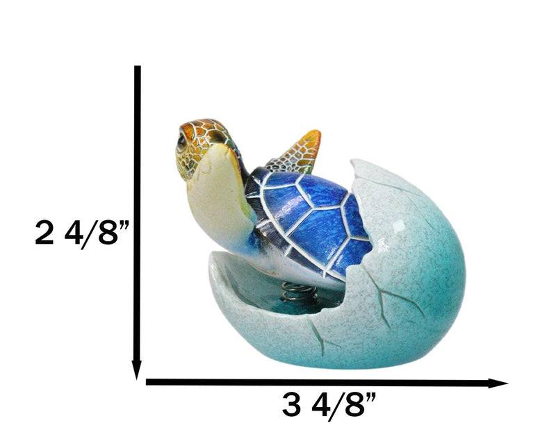 Blue Nautical Marine Sea Turtle Hatchling Emerging Out of Egg Mini Figurine