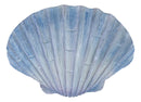 Ocean Nautical Marine Beach Aqua Blue Scallop Sea Shell Wall Plaque Decor 8.25"L