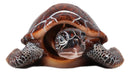 Nautical Ocean Red Giant Sea Turtle Swimming Bobblehead Figurine Tortoise