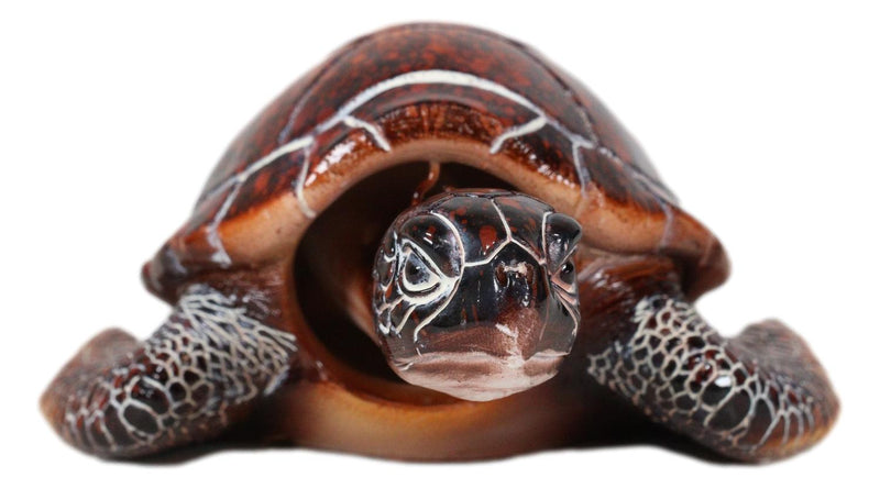 Nautical Ocean Red Giant Sea Turtle Swimming Bobblehead Figurine Tortoise