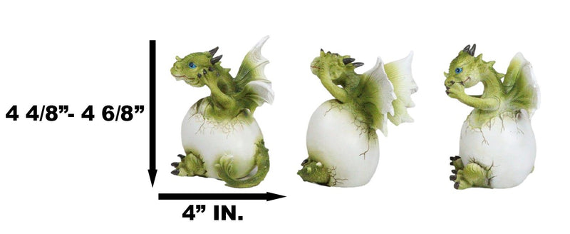 See Hear Speak No Evil Wise Dragons Family In Hatchling Egg Figurines Set Of 3