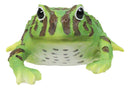 Realistic Lithobates Clamitans Amphibian Green Frog Decorative Figurine