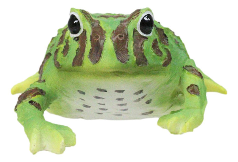 Realistic Lithobates Clamitans Amphibian Green Frog Decorative Figurine