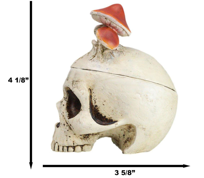 Wicca Gothic Toadstool Mushrooms And Fungi Skull Decorative Trinket Box Figurine