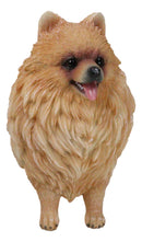 Lifelike Adorable Pet Pal Pomeranian Puppy Dog Standing Figurine