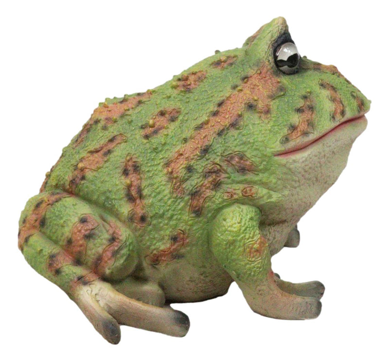 Amphibian Wildlife Realistic Green Bullfrog Frog In Stoic Posture Figurine 7"L