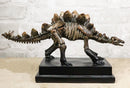 Faux Taxidermy Stegosaurus Dinosaur Fossil Figurine On Museum Display Base Stand