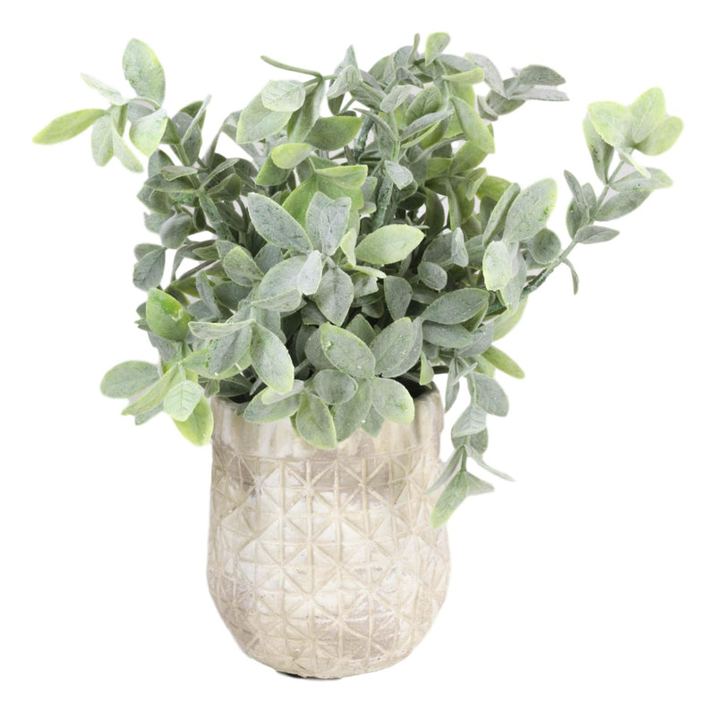 Realistic Artificial Botanica Sage Bush Faux Plant Fern In Patterned Pot 10"H