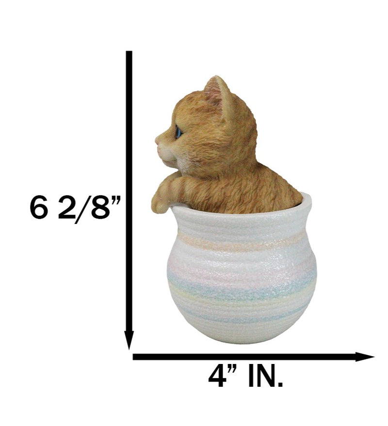 Lifelike Feline Kitty Orange Tabby Cat Blue Eyes In Pastel Artsy Pot Figurine