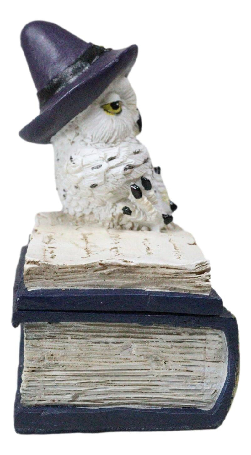 White Snow Owl With Witch Hat Resting On Triple Moon Blue Spell Book Trinket Box