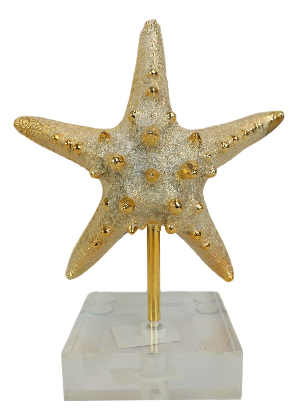 Nautical Marine Coral Golden Sea Star Shell Starfish Sculpture Acrylic Base