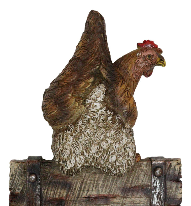 Rustic Country Farm Barn Chicken Hen Perched On Wood Plank Laying Egg Wall Hook