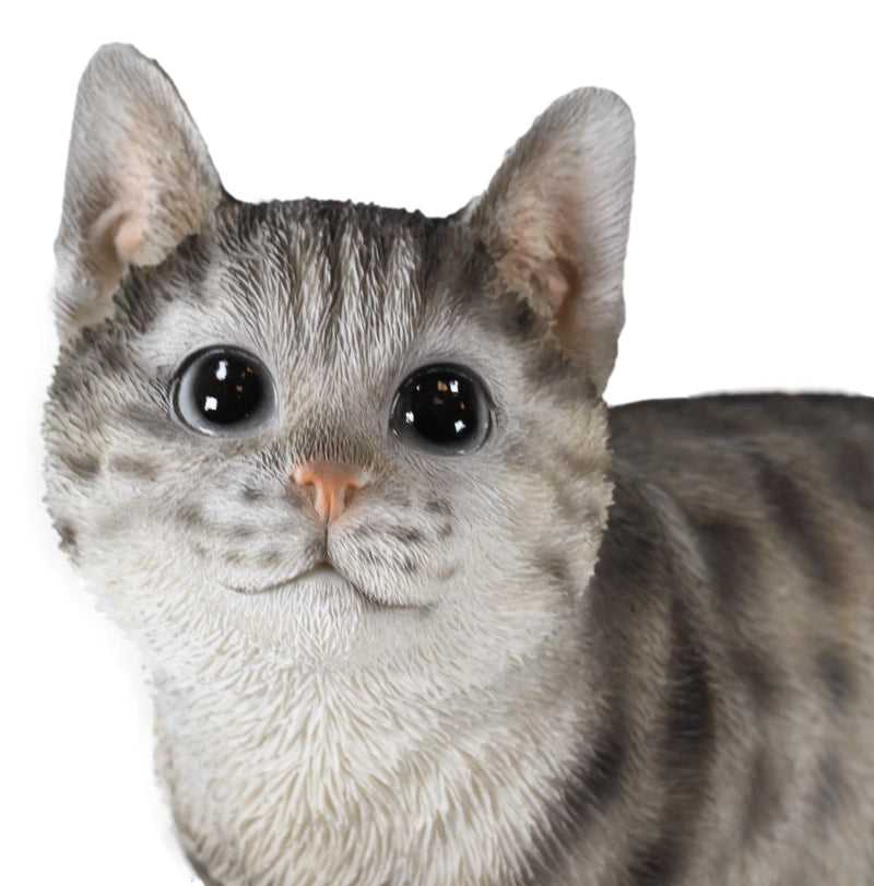 Standing Feline Gray Tabby Cat Kitten Figurine With Realistic Glass Eyes Decor