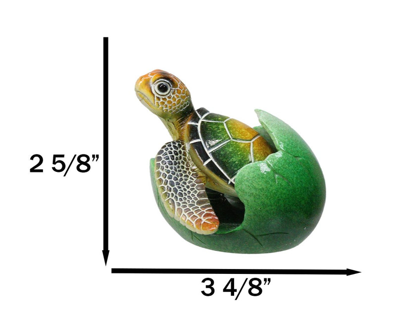 Green Nautical Marine Sea Turtle Hatchling Emerging Out of Egg Mini Figurine