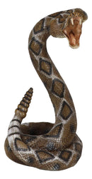 Realistic Attacking Coiled Diamondback Rattlesnake With Fangs Bared Figurine