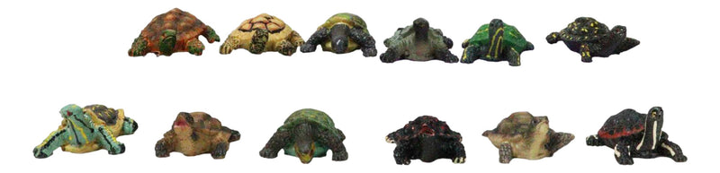 Set of 12 Marine Colorful 2" Mini Reptile Collectible Tortoise Species Figurines