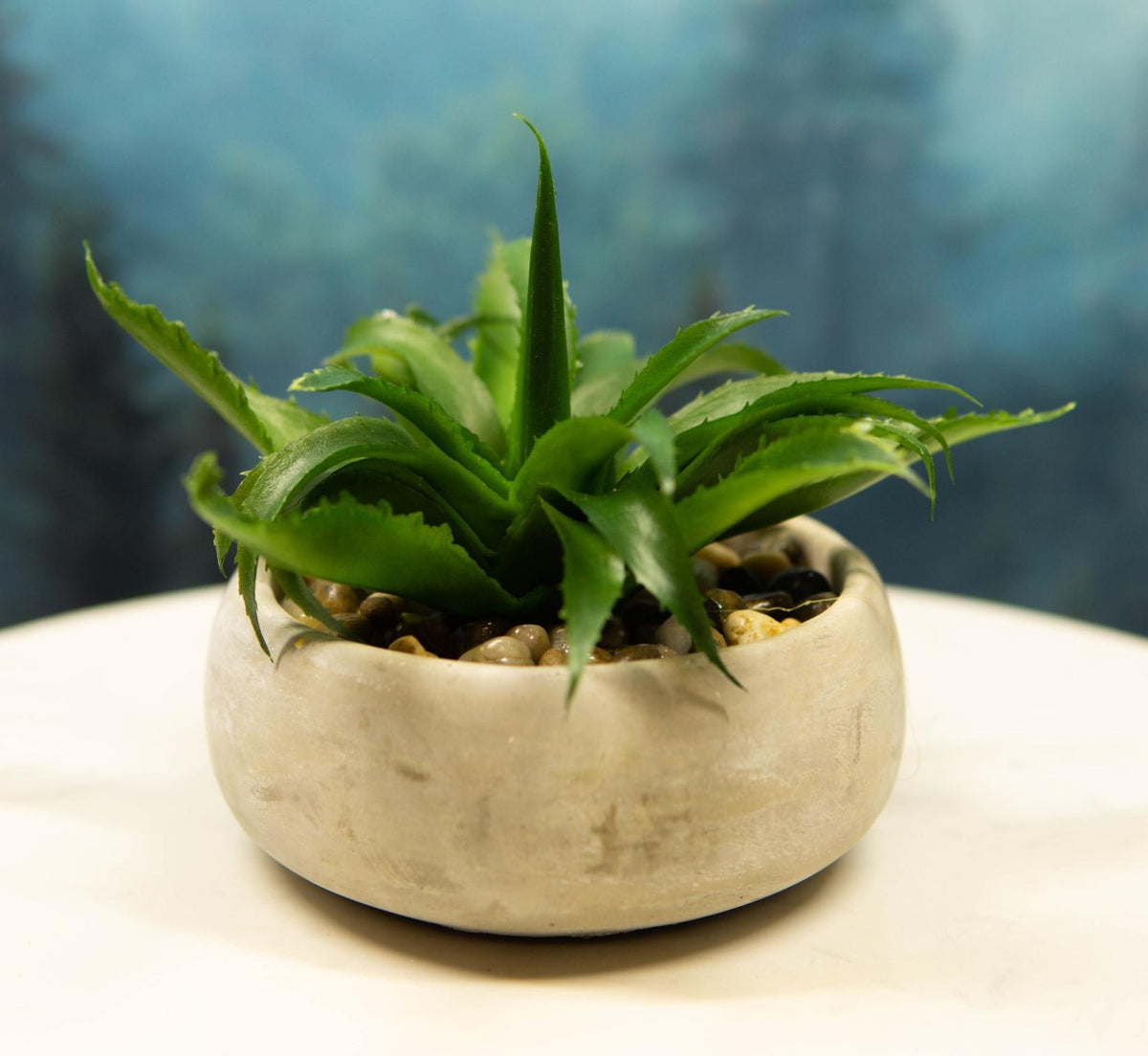 Set of 4 Realistic Artificial Botanica Plants Succulents in Cement Pot 7"Dia
