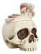 Wicca Gothic Toadstool Mushrooms And Fungi Skull Decorative Trinket Box Figurine