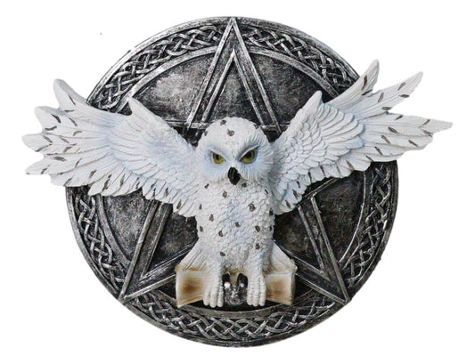 Wiccan Witch White Snowy Owl 3D Wall Plaque With Pentagram & Celtic Knotwork