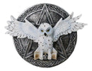 Wiccan Witch White Snowy Owl 3D Wall Plaque With Pentagram & Celtic Knotwork