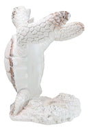 Nautical Marine Distressed Antique White Sea Turtle Wine Bottle Holder Figurine