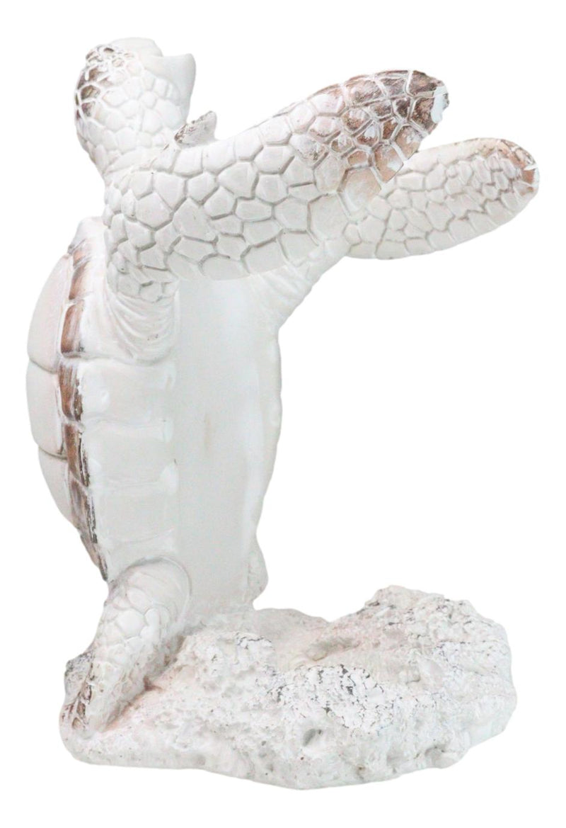 Nautical Marine Distressed Antique White Sea Turtle Wine Bottle Holder Figurine