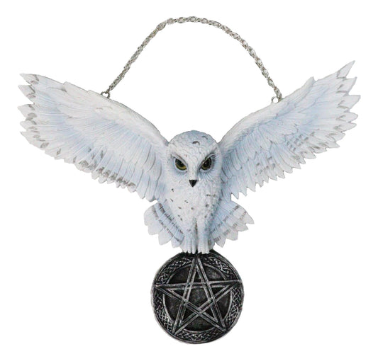 Snowy White Owl Pentagram Medallion Gothic Owl Wall Hanging Plaque 10"Long