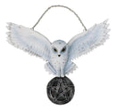 Snowy White Owl Pentagram Medallion Gothic Owl Wall Hanging Plaque 10"Long