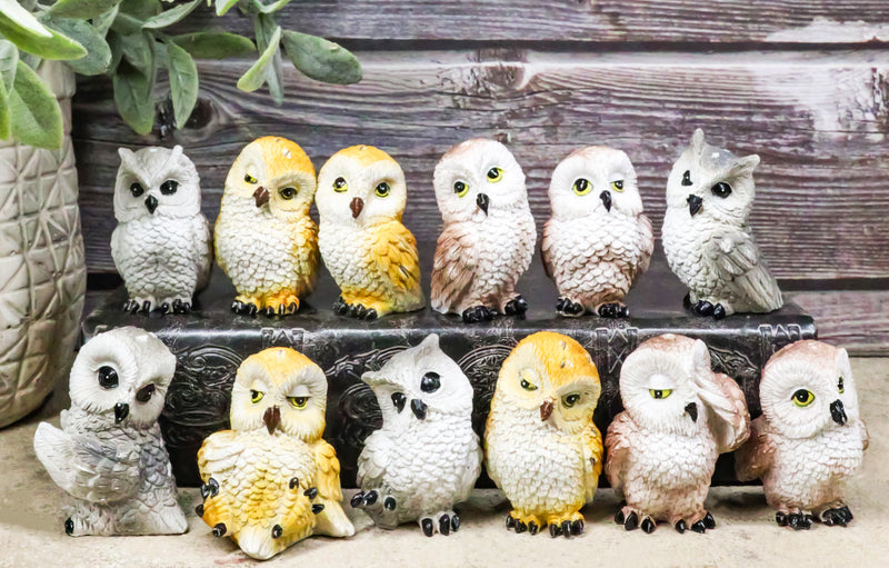 Set Of 12 Colorful Ancient Wisdom Of The Forest Woodlands Owls Mini Figurines