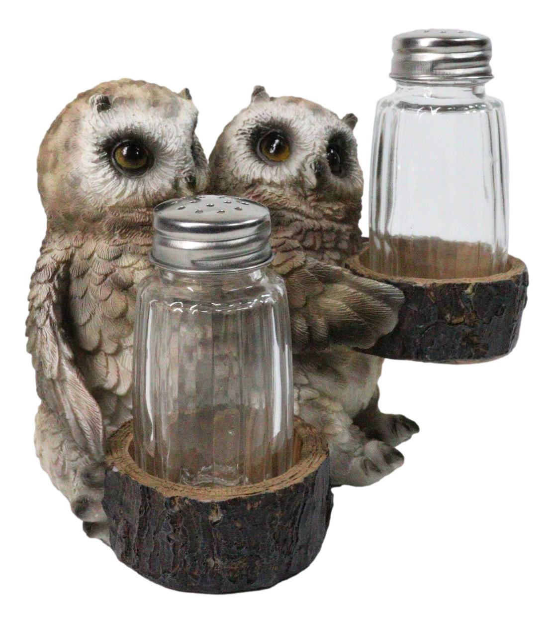 Owl Lovers Couple Salt and Pepper Shaker Holder with Glass Shakers Figurine