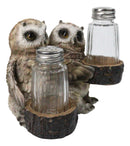 Owl Lovers Couple Salt and Pepper Shaker Holder with Glass Shakers Figurine