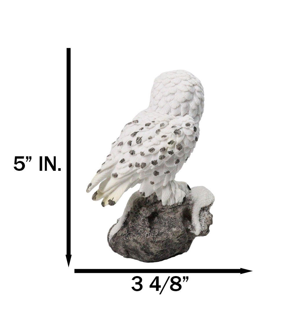 Tundra Forest Lone Snow White Owl Perching On Tree Branch Figurine 5"H