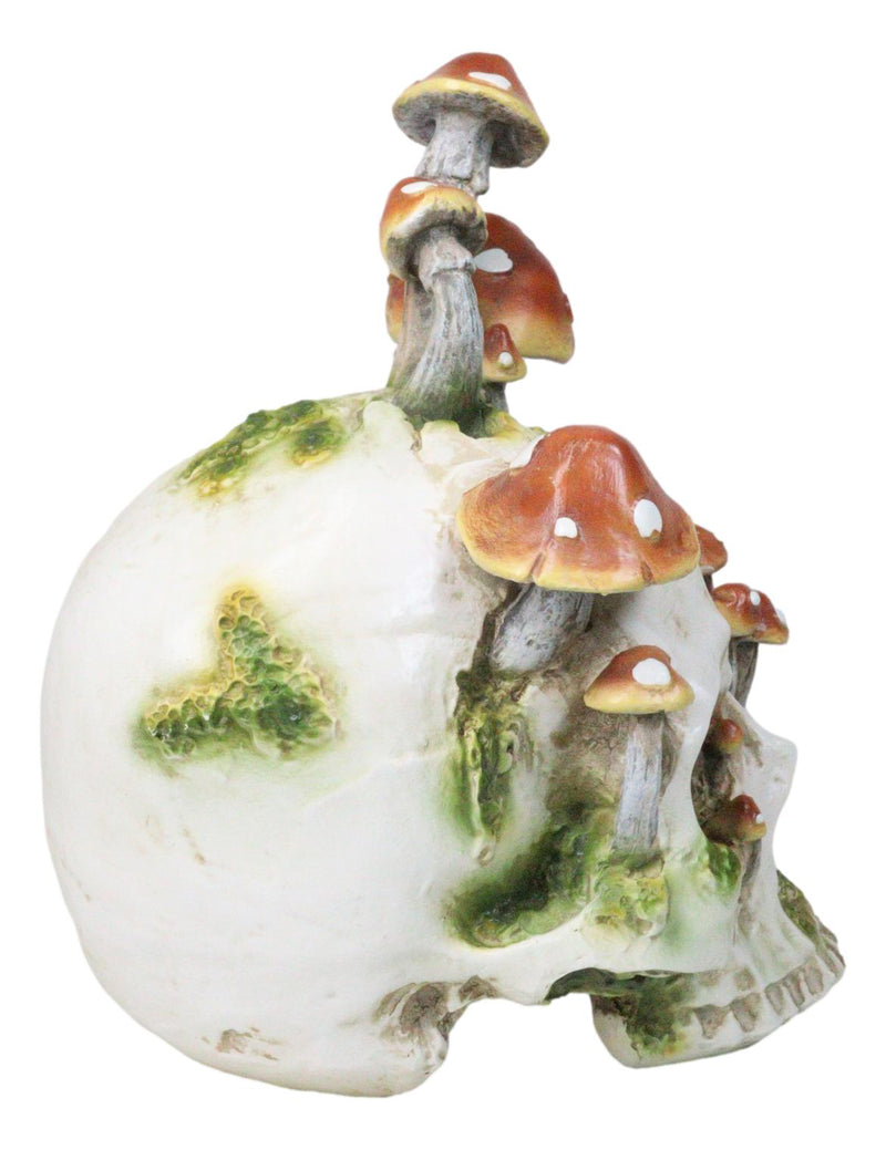 Large Day Of The Dead Toadstool Mushrooms And Moss Fungi Skull Figurine 11.5"H