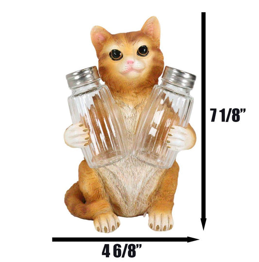 Ebros Orange Tabby Kitty Cat Hugging Spice Salt Pepper Shakers Holder 8.25"H - Ebros Gift