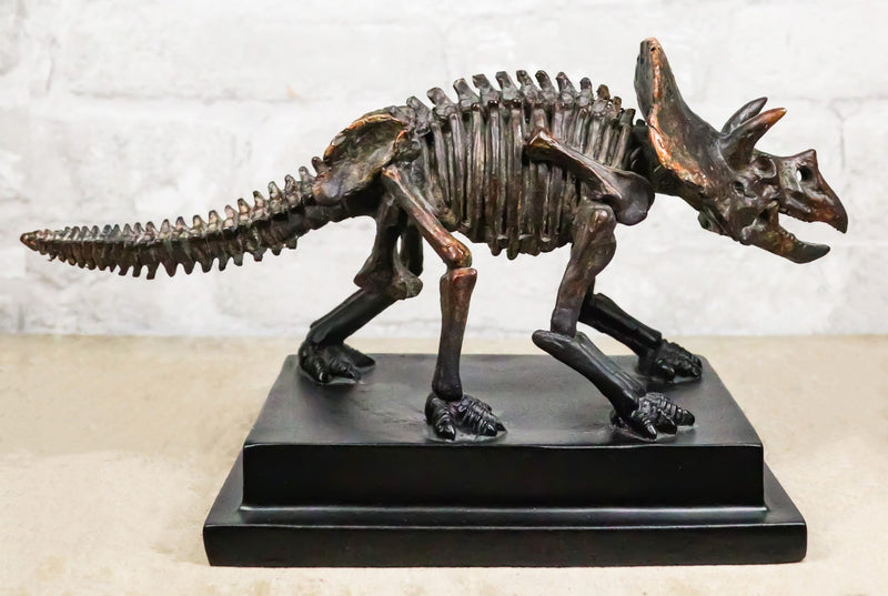 Faux Taxidermy Triceratops Dinosaur Fossil Figurine On Museum Display Base Stand