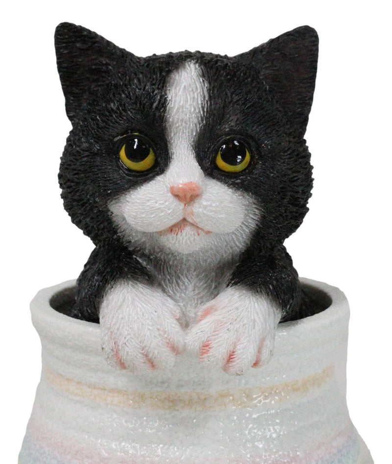 Lifelike Black And White Tuxedo Cat In Pastel Artsy Pot With Glass Eyes Figurine
