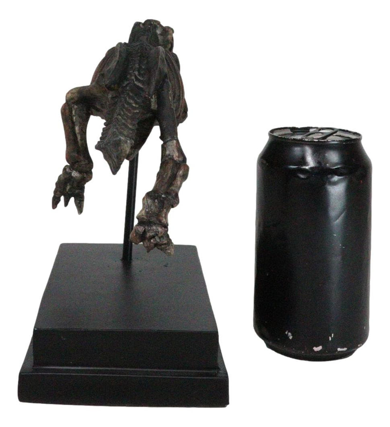 Jurassic T-Rex Tyrannosaurus Rex Dinosaur Fossil Skeleton Statue On Base Stand
