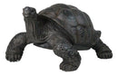 Realistic Marine Lifelike Galapagos Giant Tortoise Turtle Large Statue 18"L