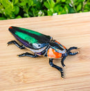Green Wood Beetle Bug Enameled Pewter Austrian Crystals Trinket Jewelry Box