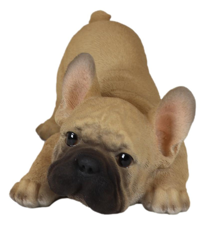 Realistic Lifelike Crouching French Bulldog Frenchie Puppy Figurine Decor